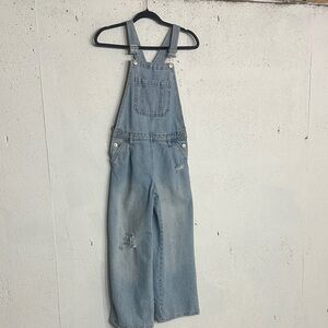 Zara Light Blue Denim Jumpsuit, 10 fits 6